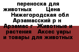 переноска для животных big › Цена ­ 1 100 - Нижегородская обл., Арзамасский р-н, Арзамас г. Животные и растения » Аксесcуары и товары для животных   